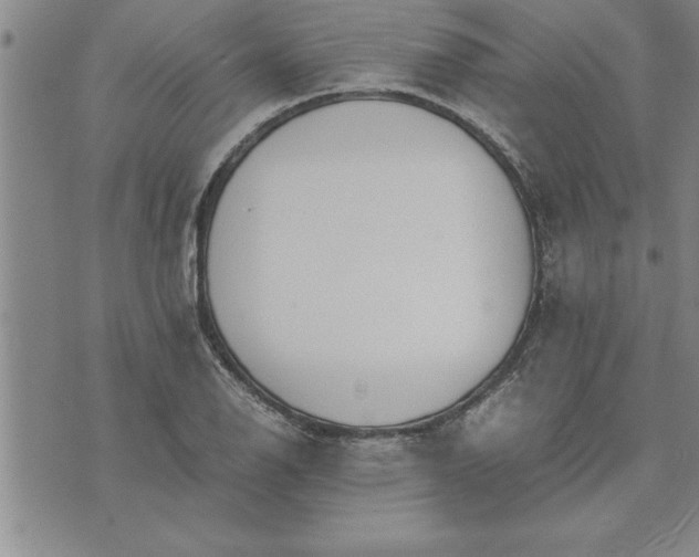 X0000071831126200607141653