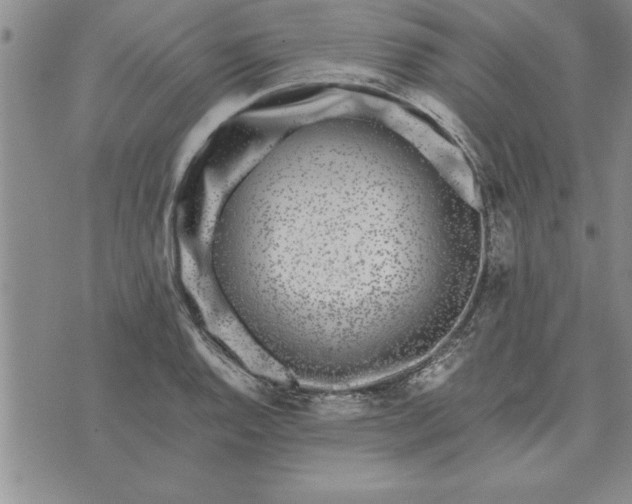 X0000071831128200607141653