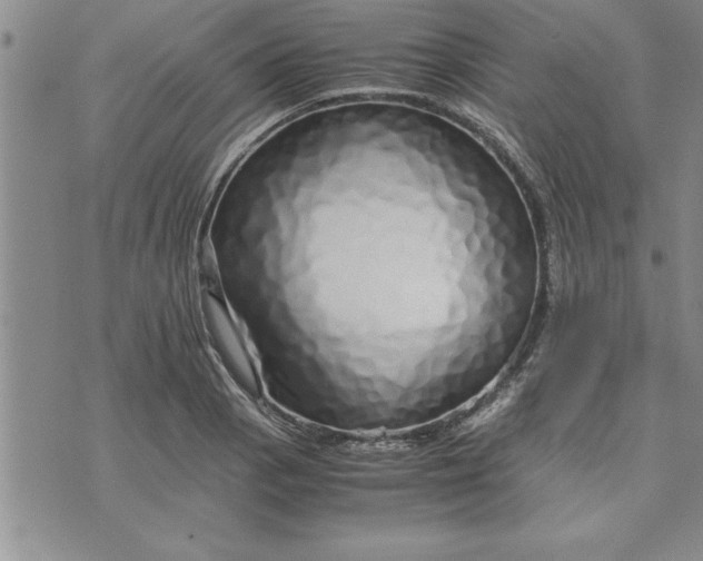 X0000071831129200607141653