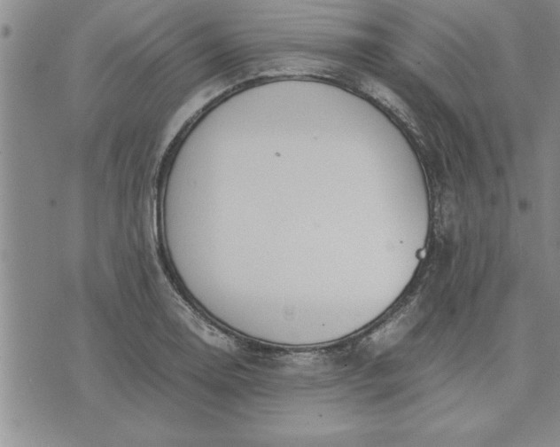 X0000071831130200607141653