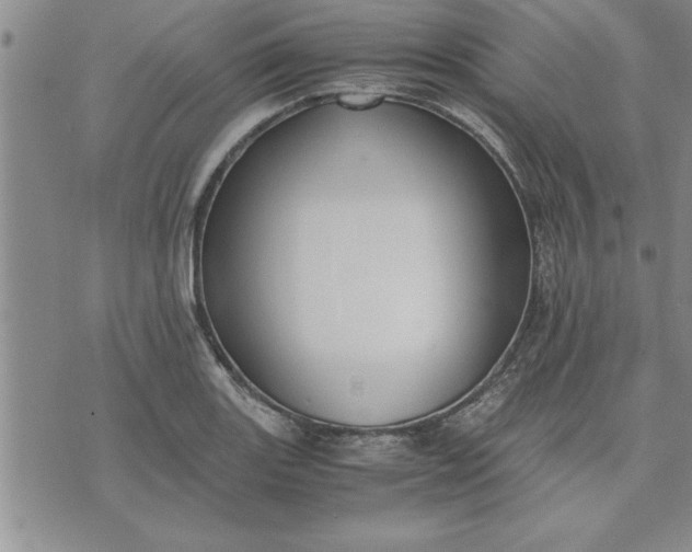 X0000071831131200607141653