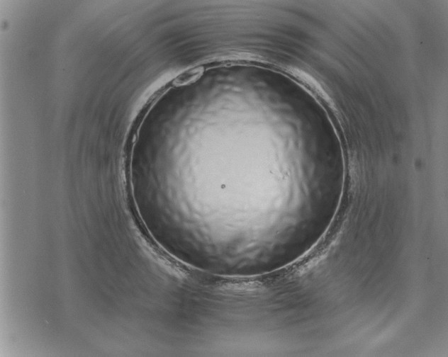 X0000071831133200607141653