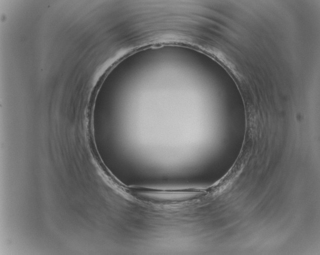 X0000071831134200607141653