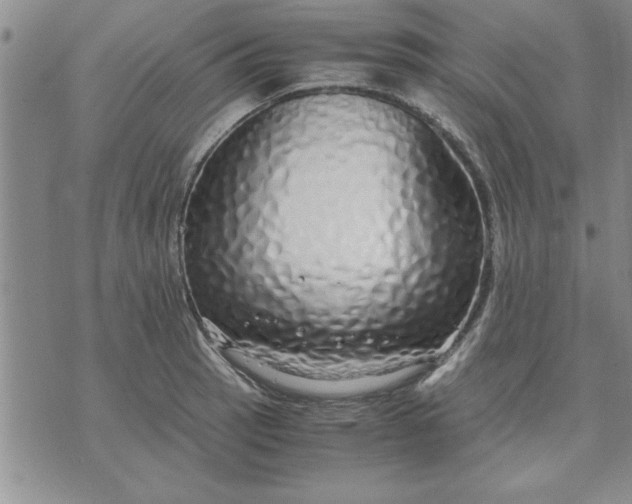 X0000071831137200607141654