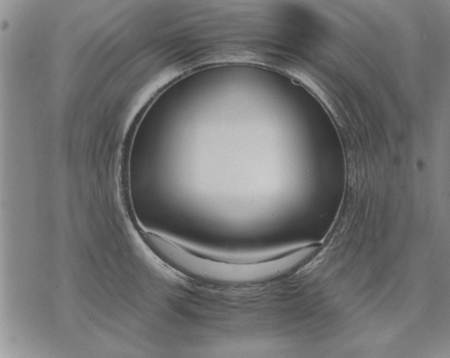 X0000071831139200607141654