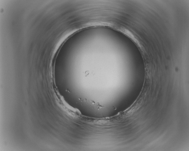 X0000071831140200607141654