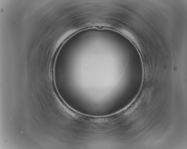 X0000071831141200607141654