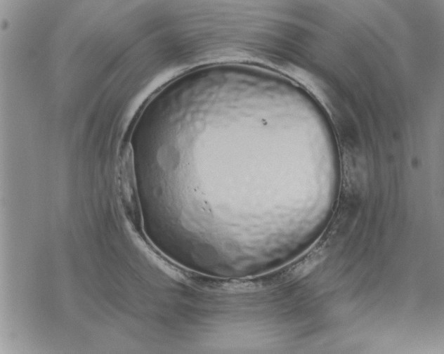 X0000071831142200607141654