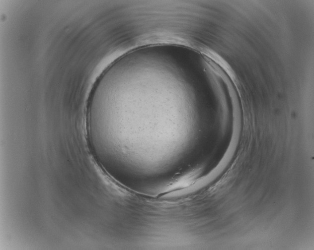 X0000071831144200607141654