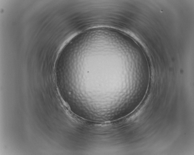 X0000071831145200607141654