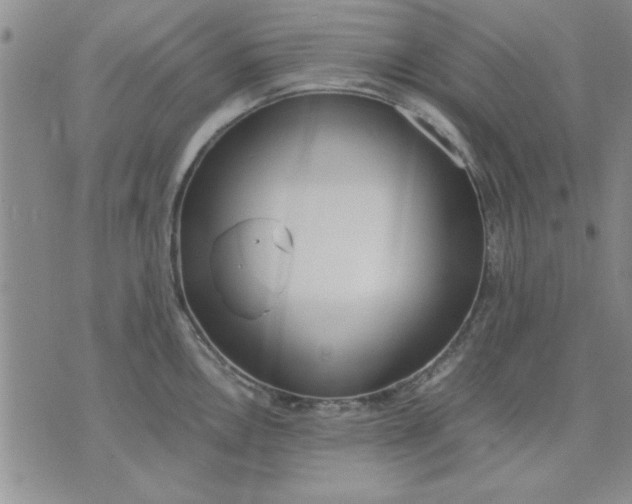 X0000071831146200607141654