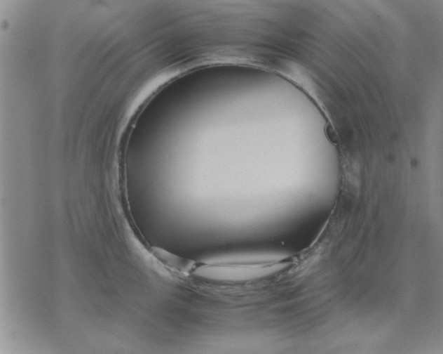 X0000071831147200607141654