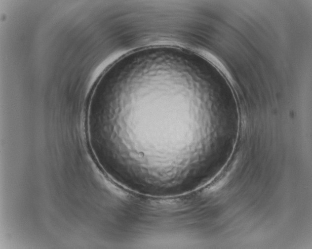 X0000071831149200607141654