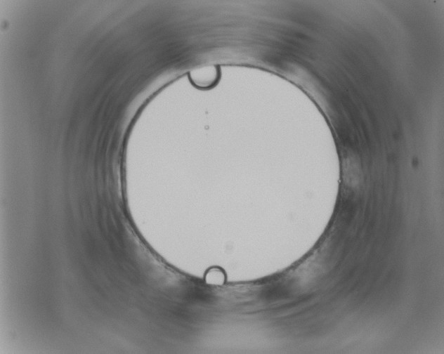 X0000071831150200607141654