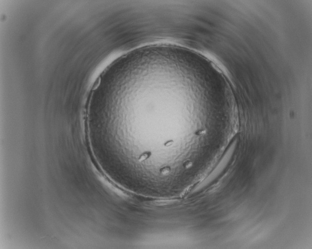 X0000071831151200607141654