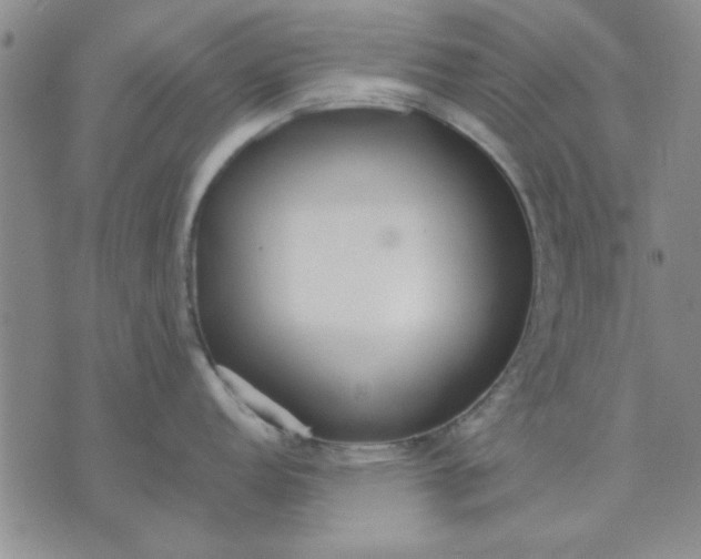 X0000071831152200607141654