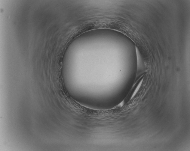 X0000071831153200607141653