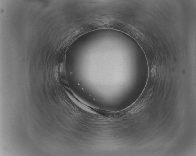 X0000071831156200607141653