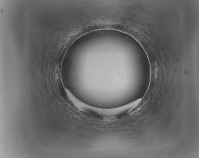 X0000071831157200607141653