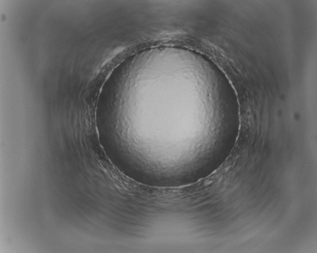 X0000071831158200607141653