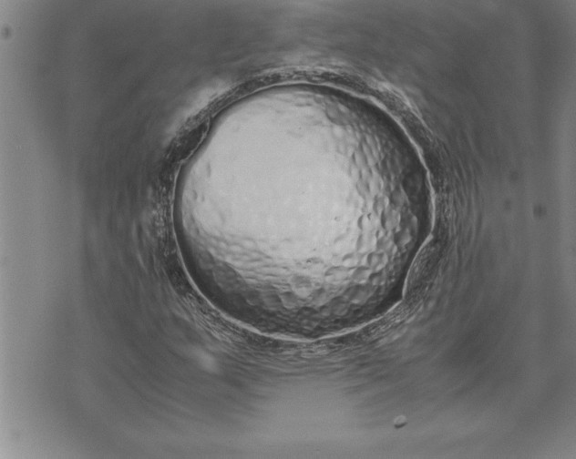 X0000071831159200607141653