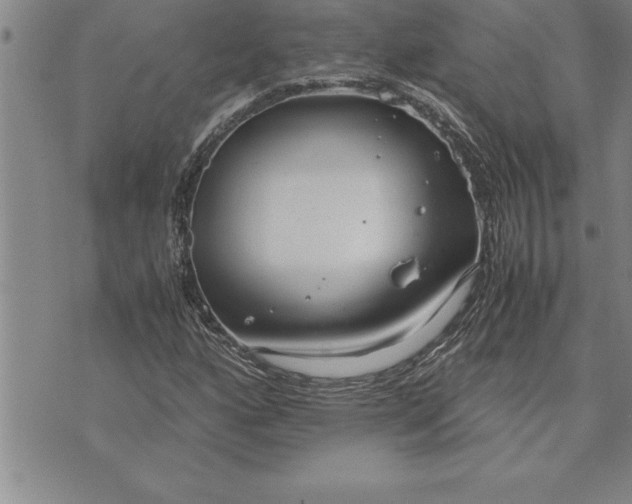 X0000071831160200607141653