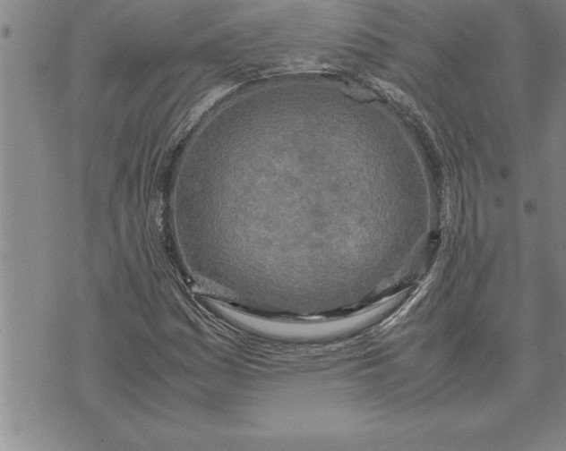 X0000071831161200607141653