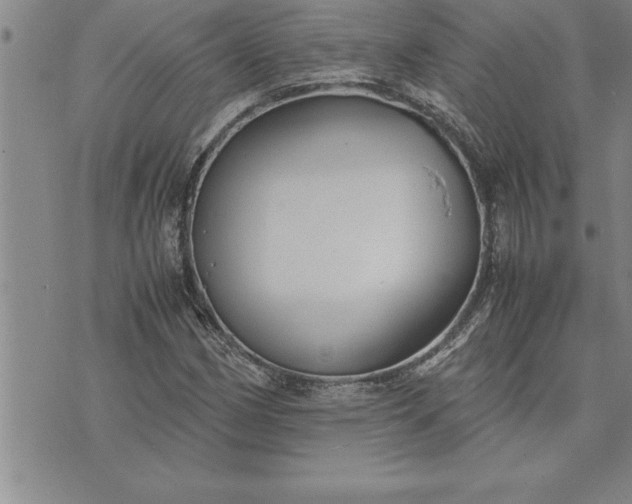 X0000071831162200607141653