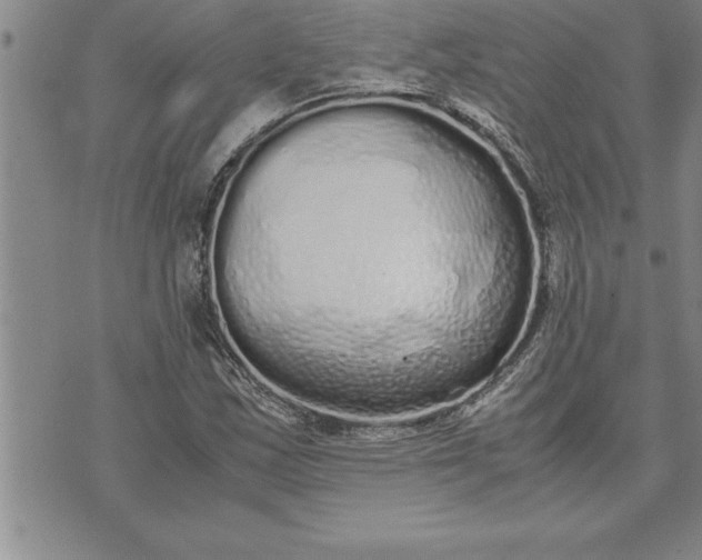 X0000071831163200607141653