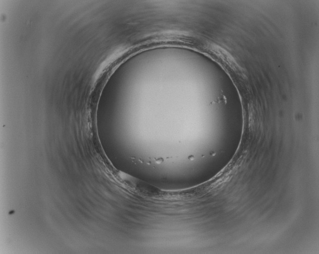 X0000071831164200607141653