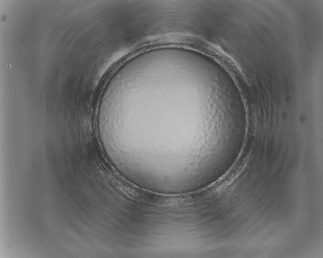 X0000071831166200607141653