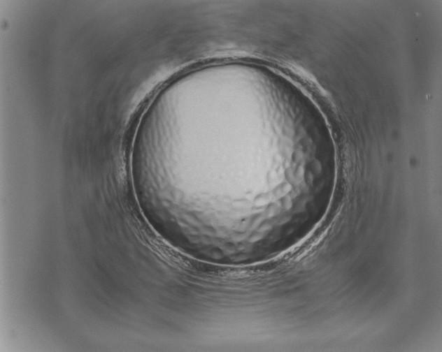 X0000071831167200607141653