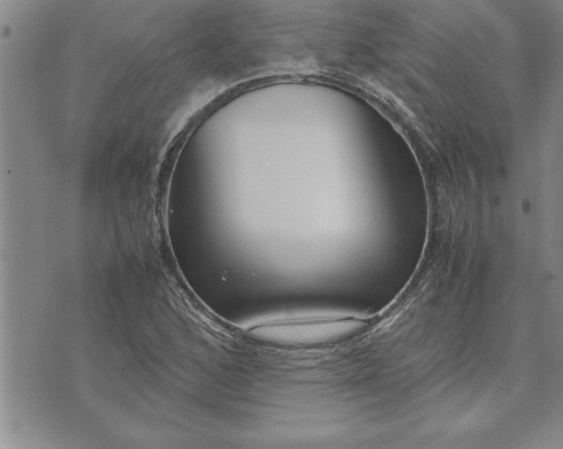 X0000071831168200607141653