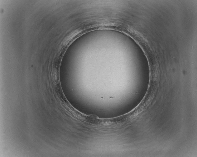 X0000071831169200607141653