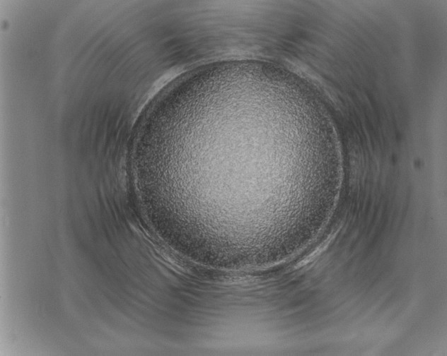 X0000071831170200607141653