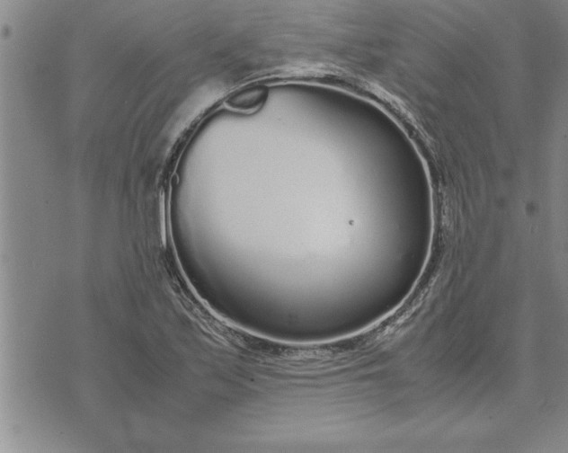 X0000071831171200607141653