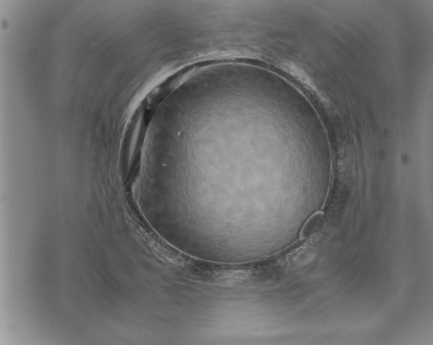 X0000071831173200607141653