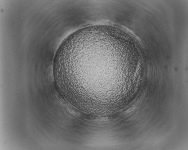 X0000071831174200607141653