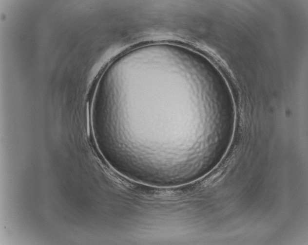 X0000071831175200607141653