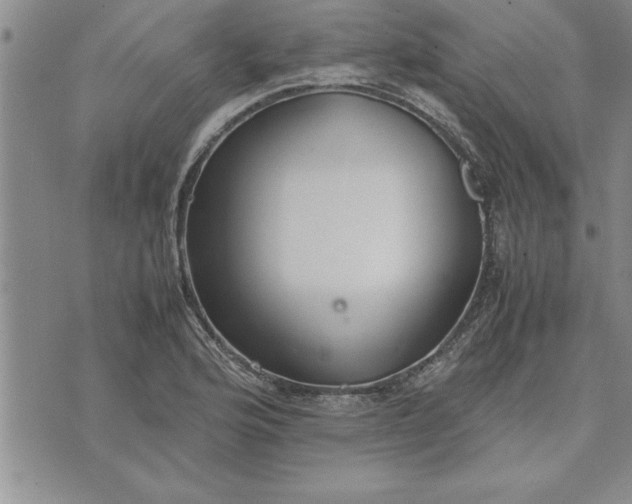 X0000071831176200607141653