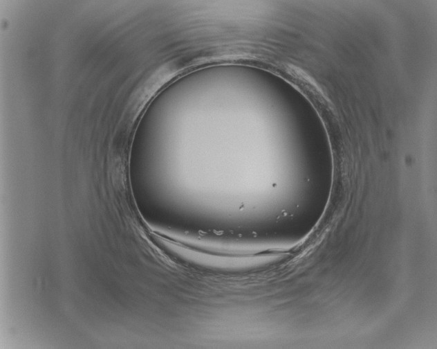 X0000071831177200607141653