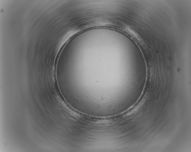 X0000071831178200607141653