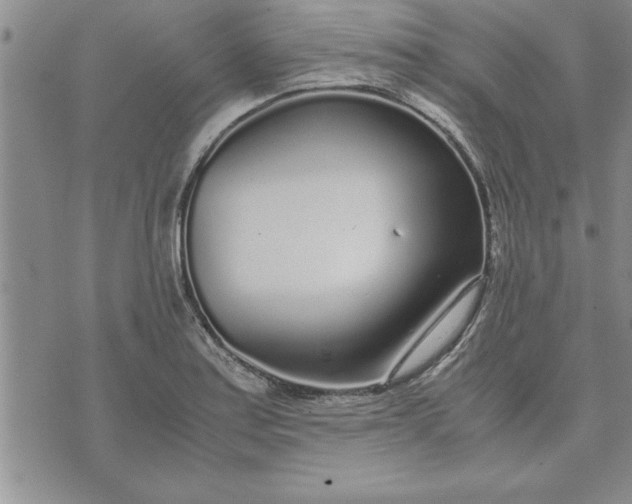 X0000071831179200607141653