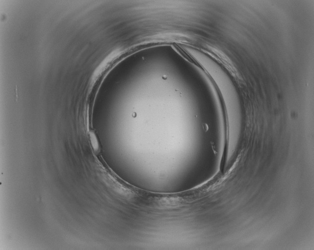 X0000071831180200607141653