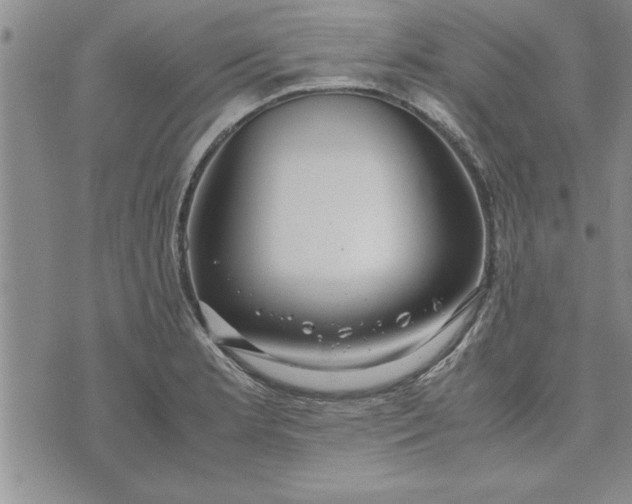 X0000071831181200607141653