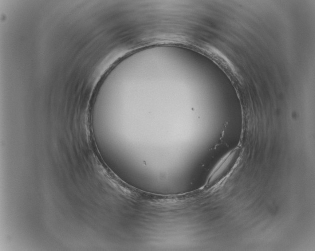 X0000071831182200607141652