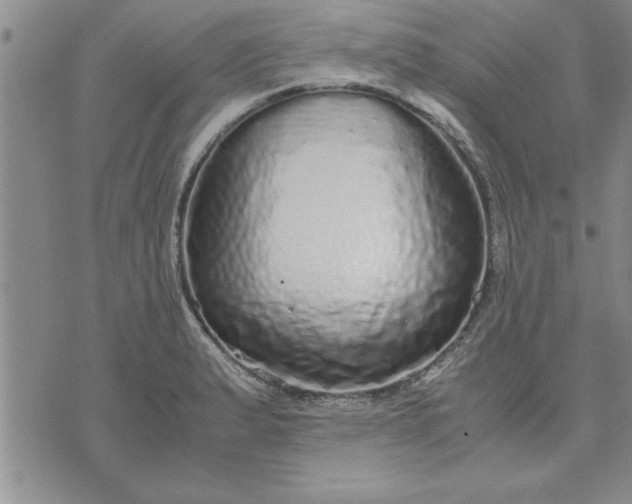 X0000071831183200607141652