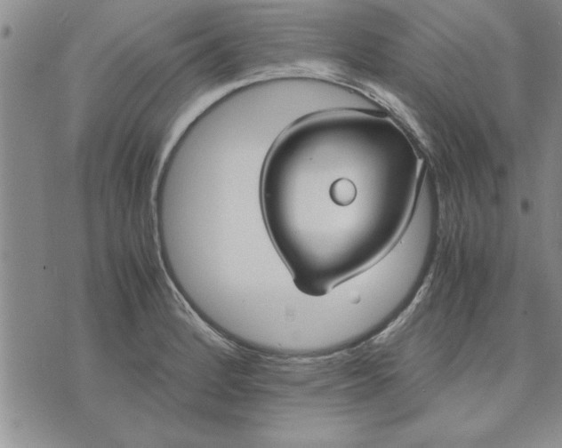 X0000071831184200607141652