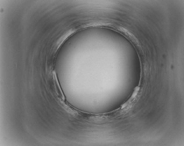 X0000071831185200607141652