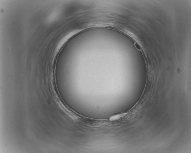 X0000071831187200607141652